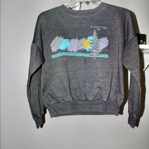 Vintage bushhill falls crewneck